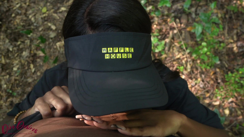 Dire Desires: 华夫饼房子小妞