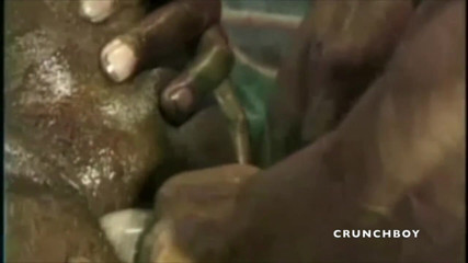 Raw French Bad boys: Dos francesas negras masturbándose y más
