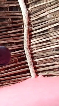 Video seks desi pasangan kampung berkongkek romantik