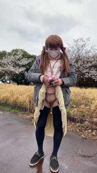 No. 166 Tack's Pussy and a Quiet Moment Under the Cherry Blossoms