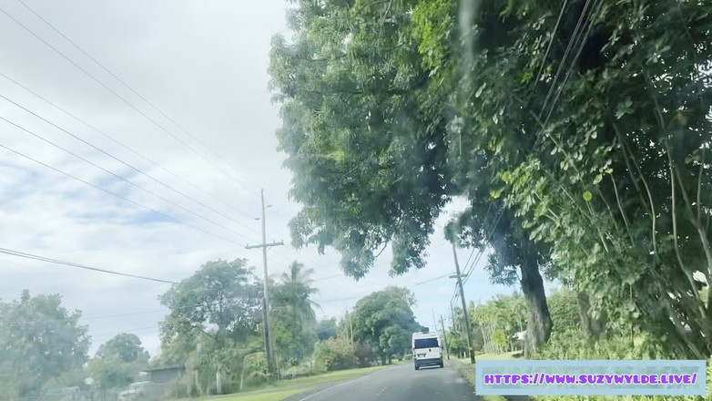 Suzy Wylde: Sfw RoadTrip nach Hana für Suzy Wylde in Waimoku Falls,...