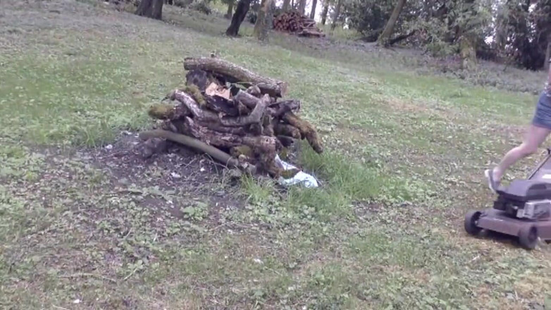 Uk Joolz: Picnic in the Woods Part 1