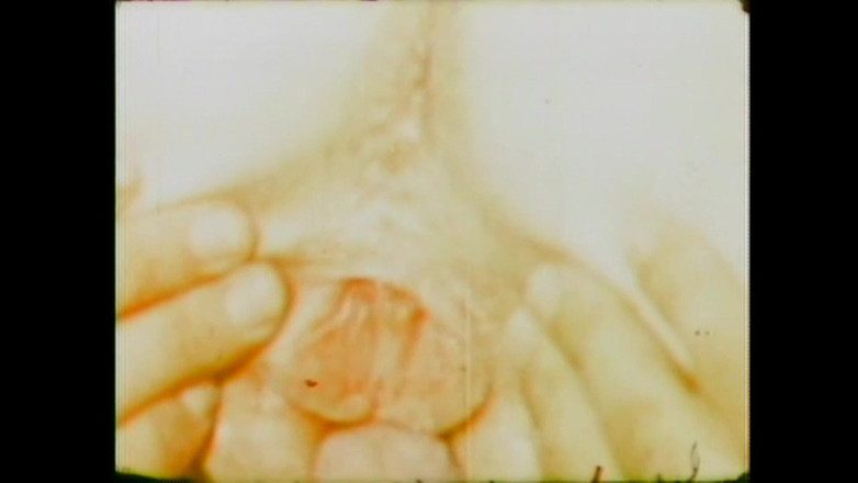 Vintage Usa: 家で痴女