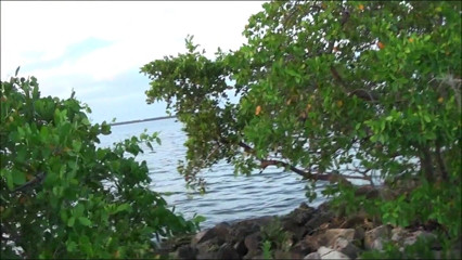 Tropical Lust: Kendra Lynn al aire libre, masturbación y chorro