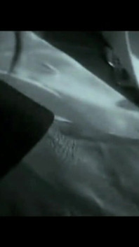 Lydia privata