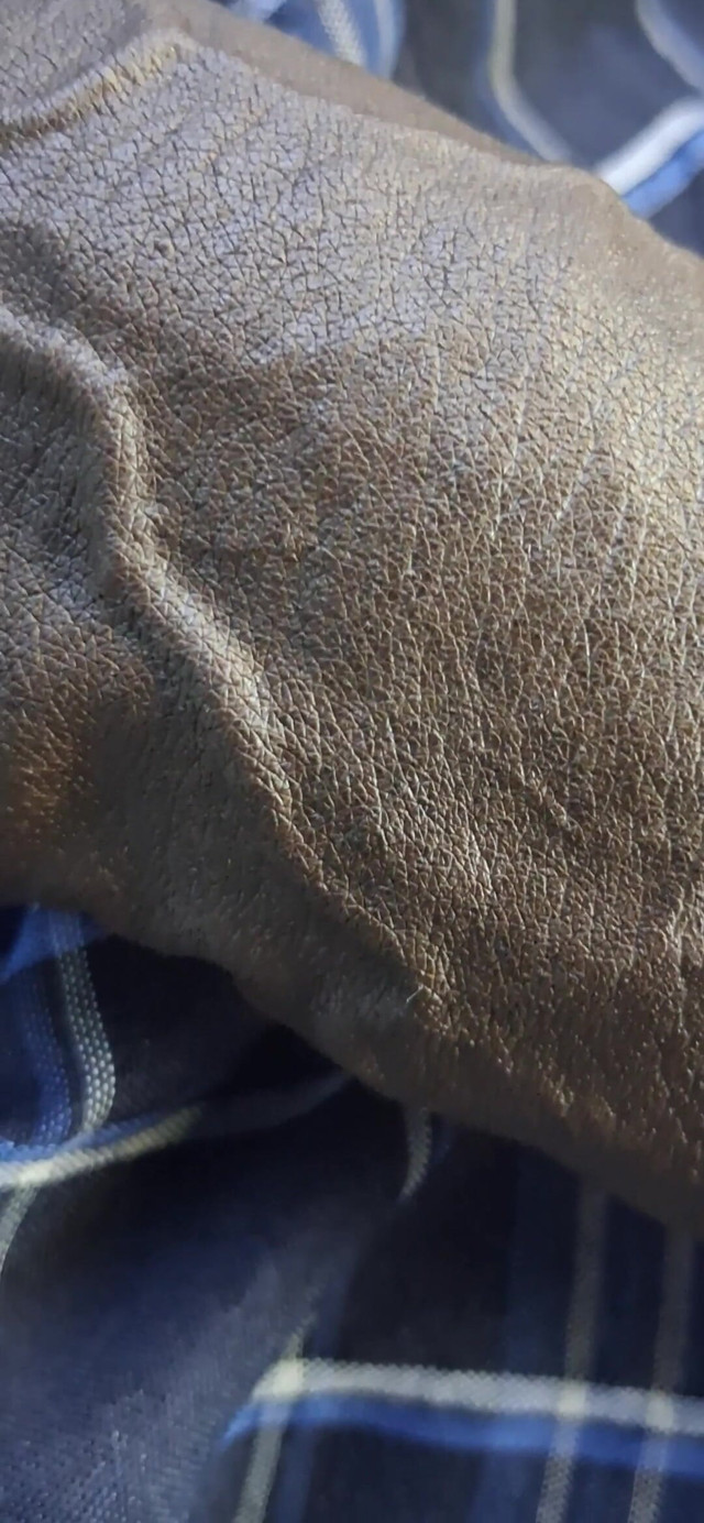 Veiny BBC Flashing (Chocolate meat stick) Veiny BBC Flashing (Chocolate meat stick)