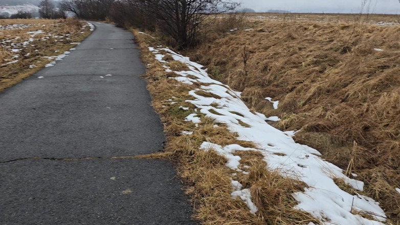 Alpha pee king: 有点危险的撒尿 - 第一人称视角户外男性在大自然散步时撒尿