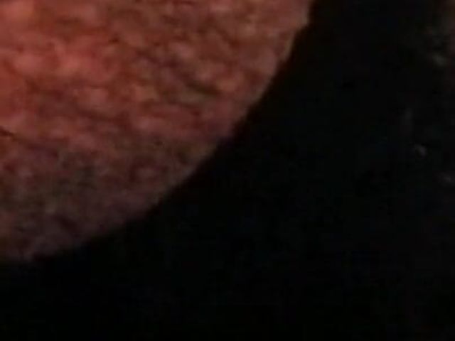 Hot Bebe (Papi Cock)