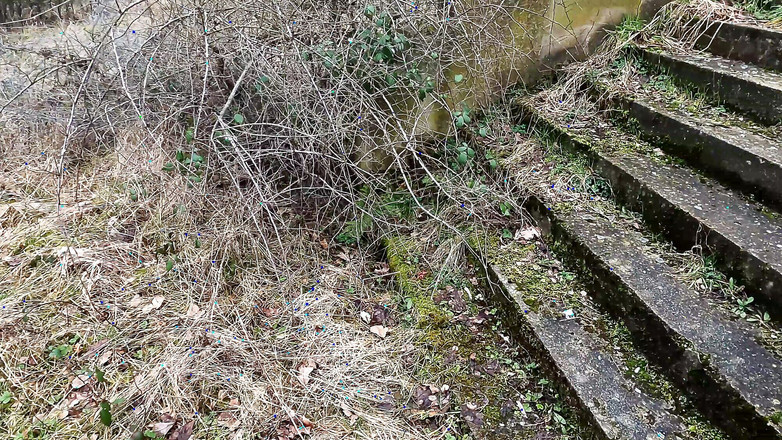 Bouncy Tits Action: 在德国边境的拉撸