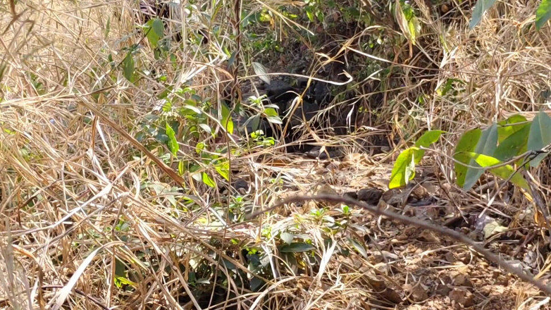 Sexy biwi: I Fucked My Old Girlfriend in the Forest