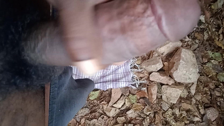 Somashekar studio: Somashekar Studio