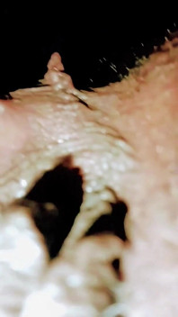 Pussy POV