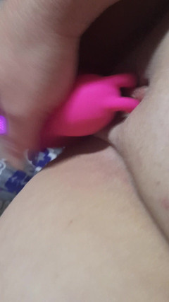 Butterflystars1982: Můj růžový jack-rabbit