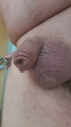 Reggies little wonder: Studená a drobná