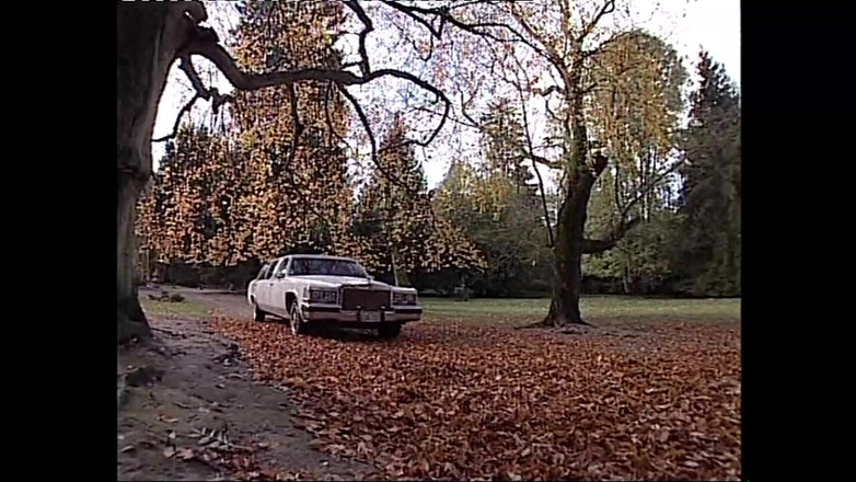 Wonderful Hot World X: 거대한 자지를 가진 핫한 쓰리섬