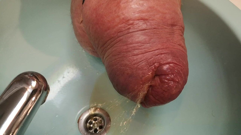 Monster_Meat_: 괴물 오줌 싸는 폰테인