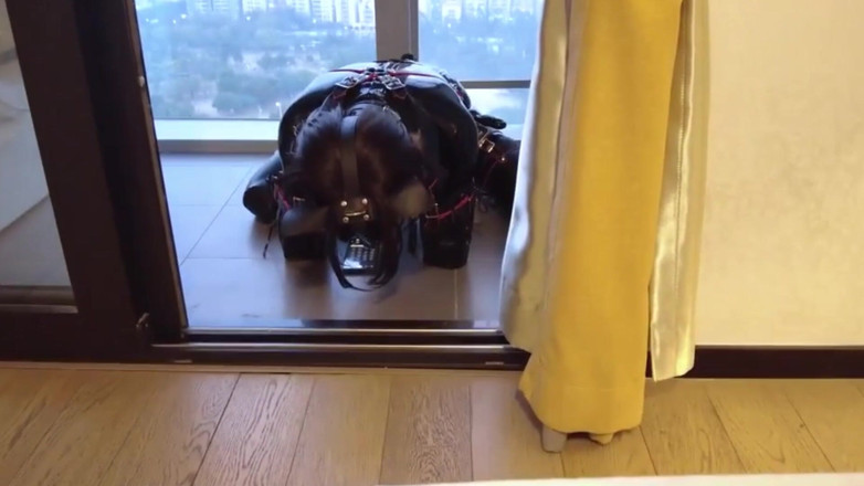 Aisan girl bondage: Mz12 - Latex-bound Puppy Vibrates to Reach Orgasm