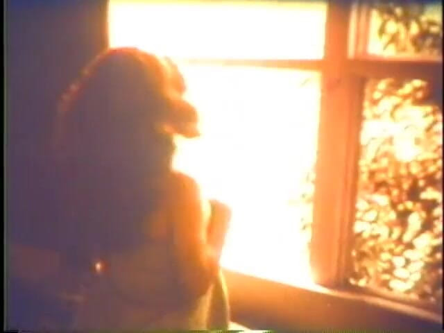 Vintage Usa: 털이 무성한 갈색 머리 밀프 캐스팅에서 카메라를 위해 포즈를 취하고 있습니다.