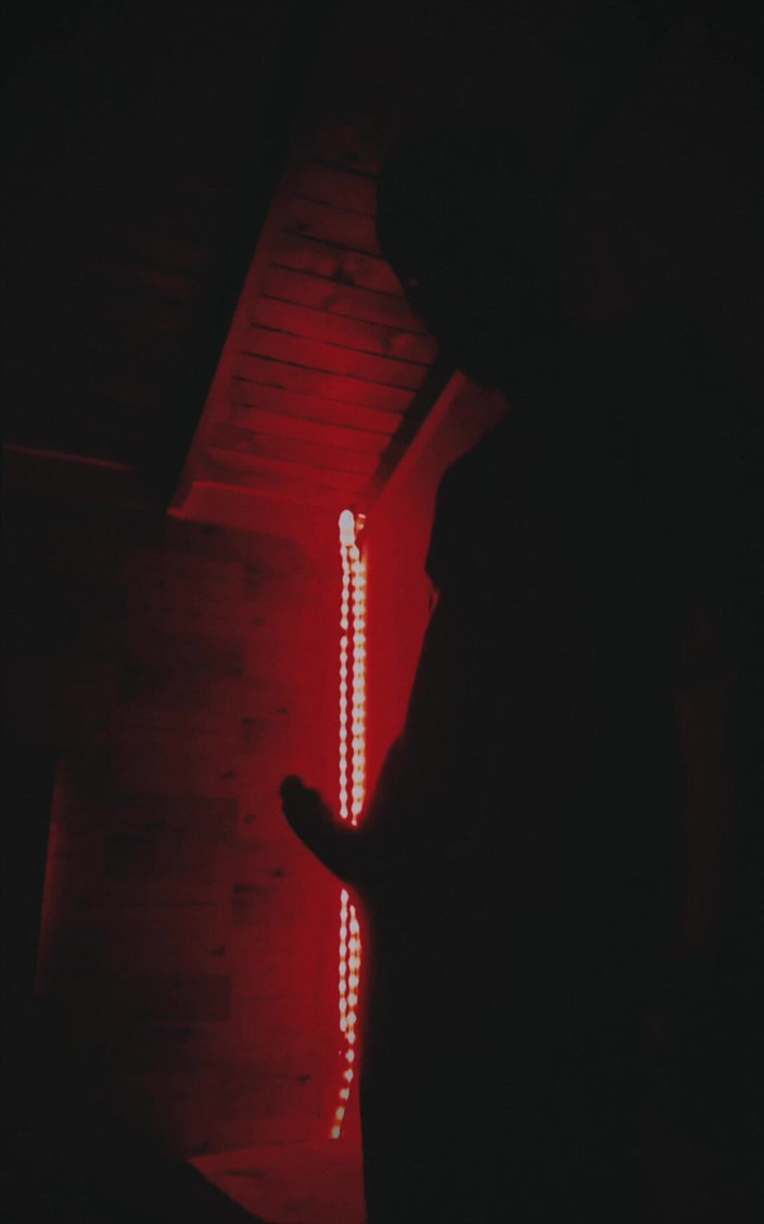 Camilo Brown: 剪影