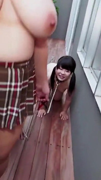 Asian Angel 23913