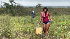 Ghostface - halloween foda com abóbora