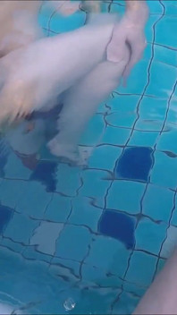 Asia Steffi-stern 1-thailand 1pool-fick-uploaded Am Pool Geil Gekommen Steffi-poolfick