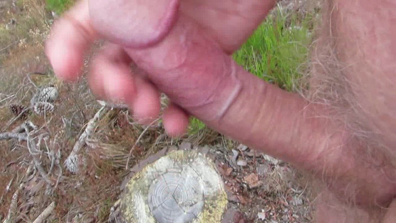Littleschorschi: Melancap bogel dalam hutan dan ladang 5