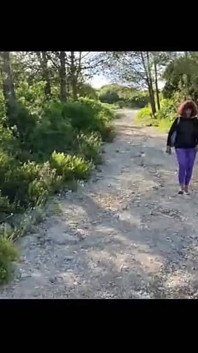 Wycieczka po lesie 1