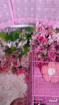 Pula nebună Angel Windell este umplută cu spermă - vertical