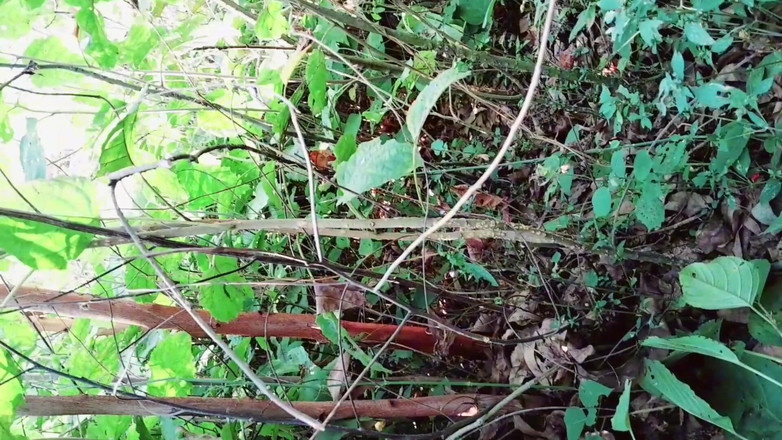 Renudbf: La ragazza indiana appena sposata vuole fare sesso all'aperto audio...