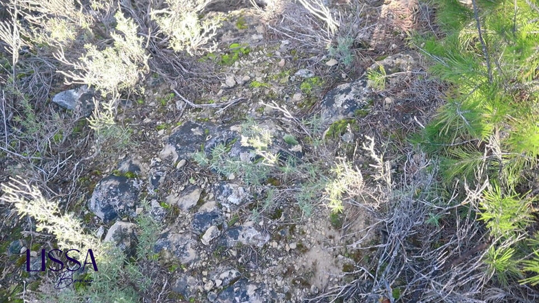 Lissa Brown: Buitenshuis neuken en pissen