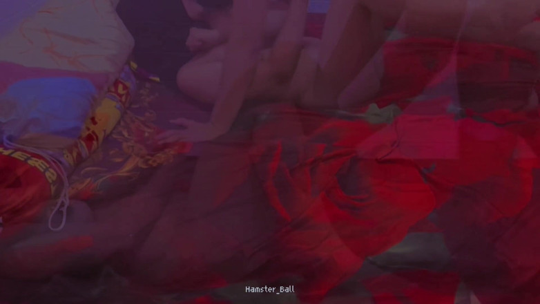 Hamster_Ball: Profesoară de matematică infidelă cu hijab futută de director