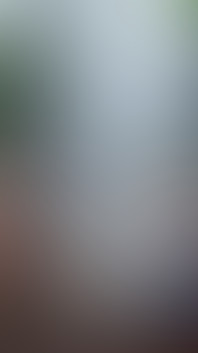 Did Christmas Come Early or Did You: a Sneak Peek