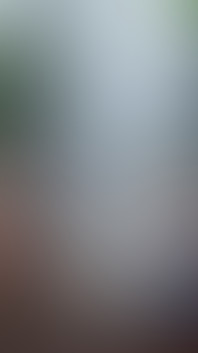 Did Christmas Come Early or Did You: a Sneak Peek