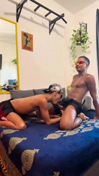 प्यारा बड़ा मोटा मुर्गा दोस्त द्वारा गड़बड़ हो रही है