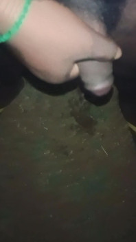 Akka Thambi Videos