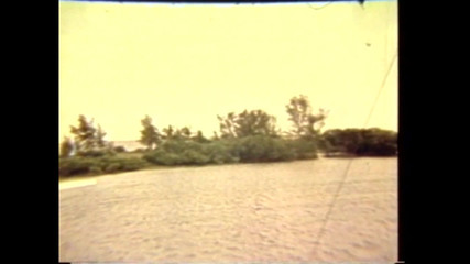 Vintage megastore: 哈里·里姆斯在海滩上