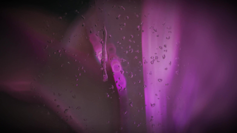 Asdfghjl2025: B021 Riesin tittenfick, furzen, facesitting, mann geschrumpft und in der...