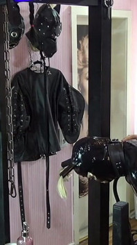 The Story of My Rubber Maid's Journey 1