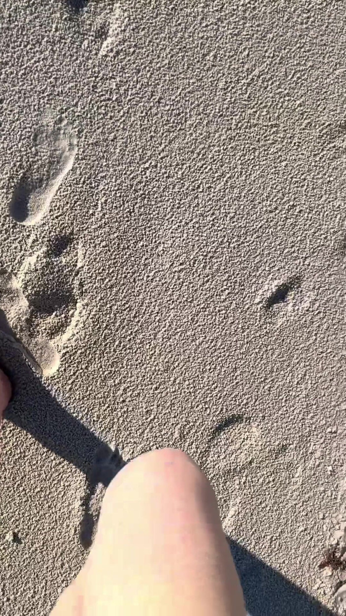 Peppermint Giantess: 16 feet boyutunu plajda kum baskılarıyla karşılaştırıyor