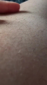 毛茸茸的腿挑逗你所有的感官