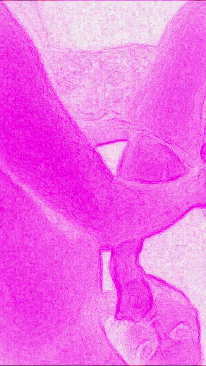 Lily & Theo: Cinsel bir karşılaşma sevinçle ilgili, o kadar yoğun ve vahşidir...