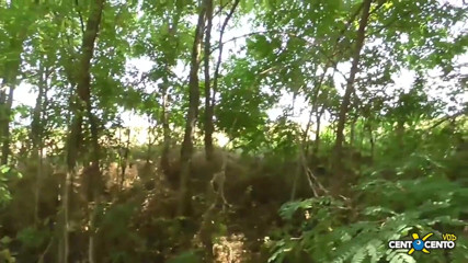Topaweb: Ось як Ла Фарнезі вітає старих друзів (фільм італійською гарною роздільною здатністю)
