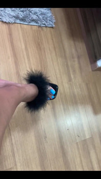 New Mules Do You Like It!?
