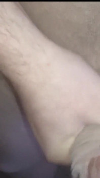 The Nylon Pecker