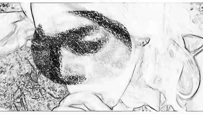 Anonpirates: 另一种性爱和中出，射液汇编。铅笔