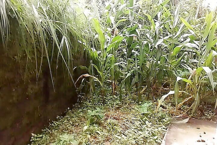 Gangbang straight: Прияншу помочились на стене дома Рэнди