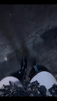 New Overknee Boots