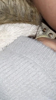 My Neighbor Licks My Pussy in an Abandoned Barn so That No One Knows That We Are Lesbians