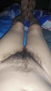 Tamale rậm lông